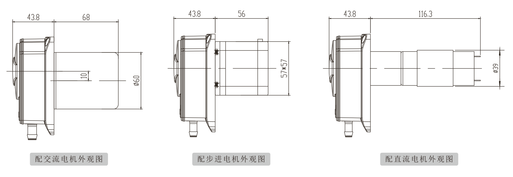K25水蜜桃在线观看